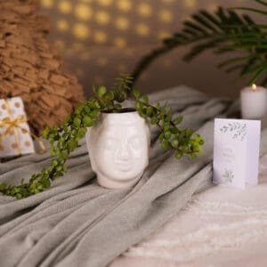 Lucky Jade in Buddha Monk Planter