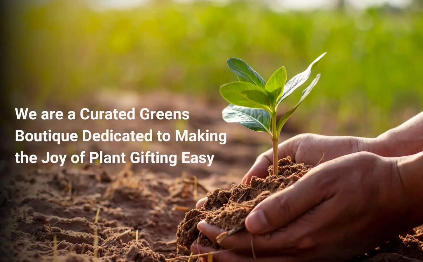 We are a curated greens boutique dedicated to making the joy of plant gifting easy