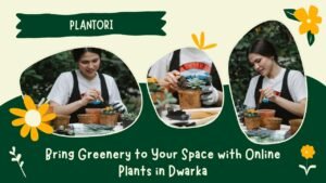 ONLINE-PLANTS-DWARKA