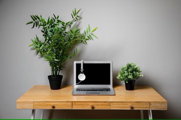 Top Plant Choices for Your Office Desk