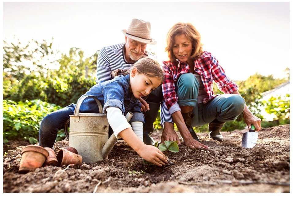 Empowering Women Through Plant-Based Living: A Guide to Wellness and Sustainability 1 UNNAMED 1 1