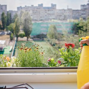 Lush Balcony Garden for Busy Families