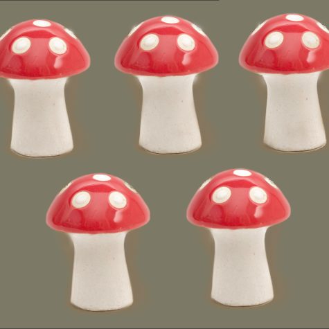 BUY MUSHROOM SET OF 5 ON SALE