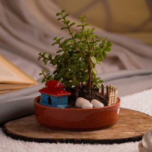 Buy Red-Shallow-Chic-Dish-With-Miniature-Decor-Toy-planter